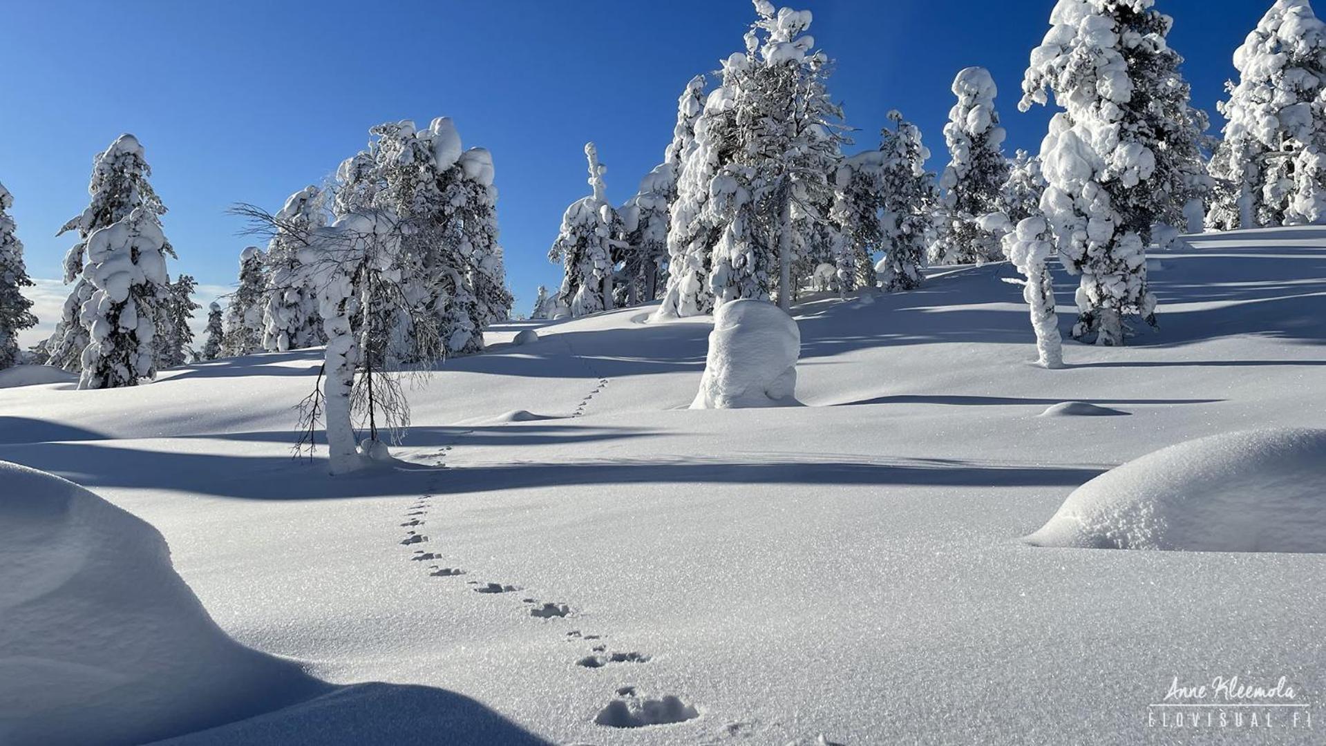 Milis Chalet Ylläsjärvi Εξωτερικό φωτογραφία